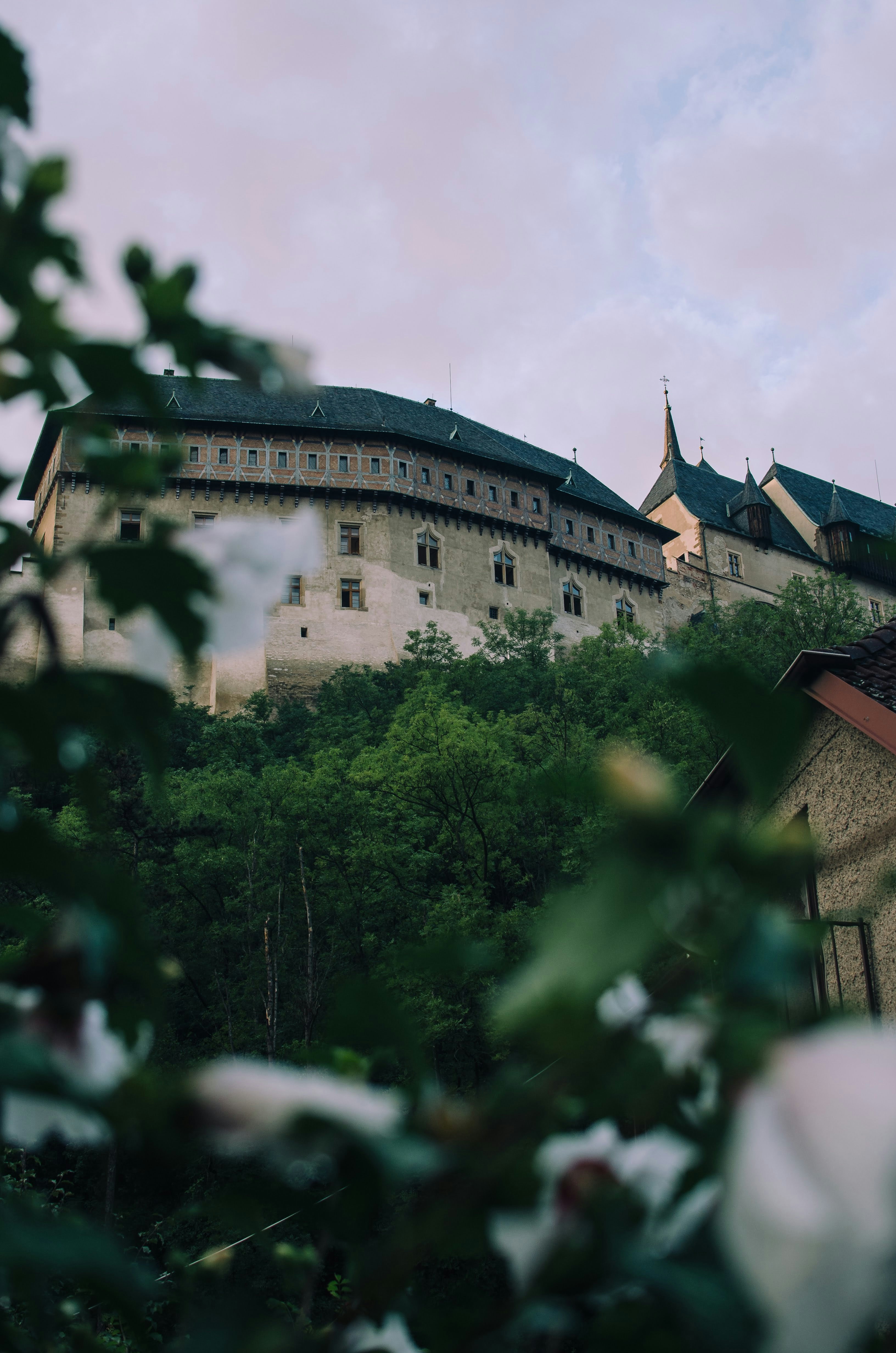 Photo by lebedych