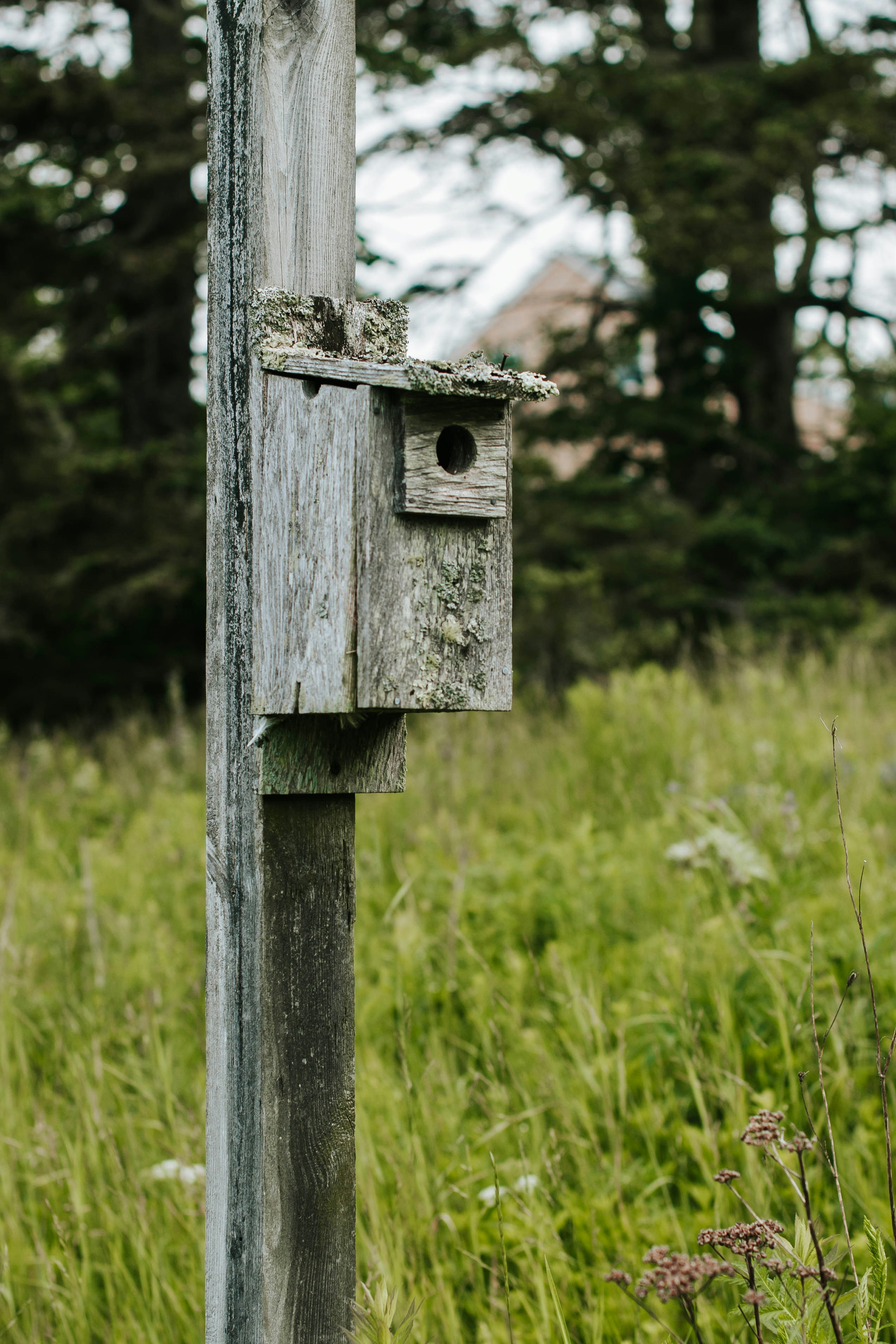 Photo by octoberroses