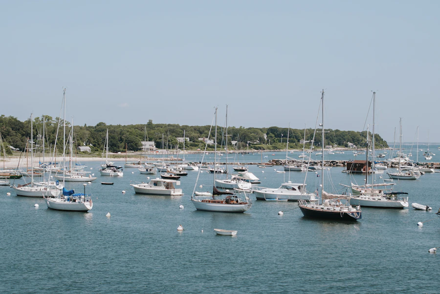 Sailboats moored in a calm Vineyard harbor