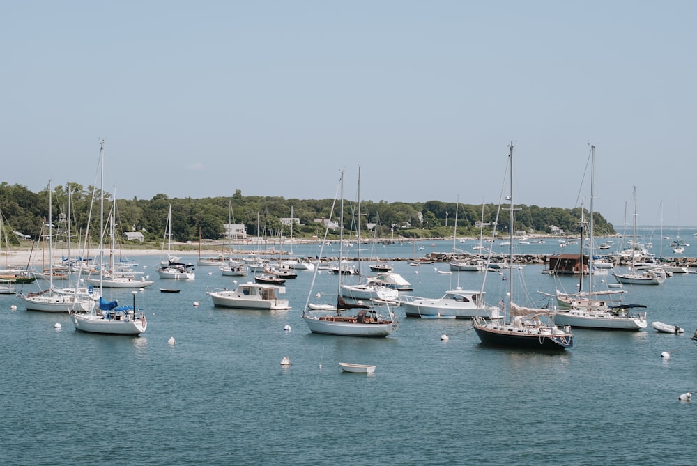 white and blue boats on sea during daytime