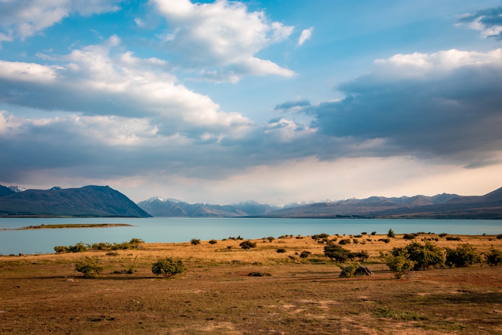 brown grass field near body of water under white clouds and blue sky during daytime