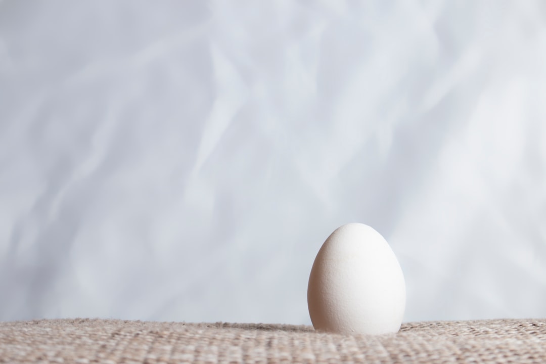 Lonely egg on a soft bottom in front of a crinkled white background