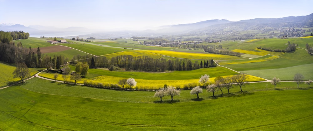 campo di erba verde durante il giorno