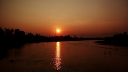 silhouette of trees during sunset in Gobindaganj Upazila Bangladesh