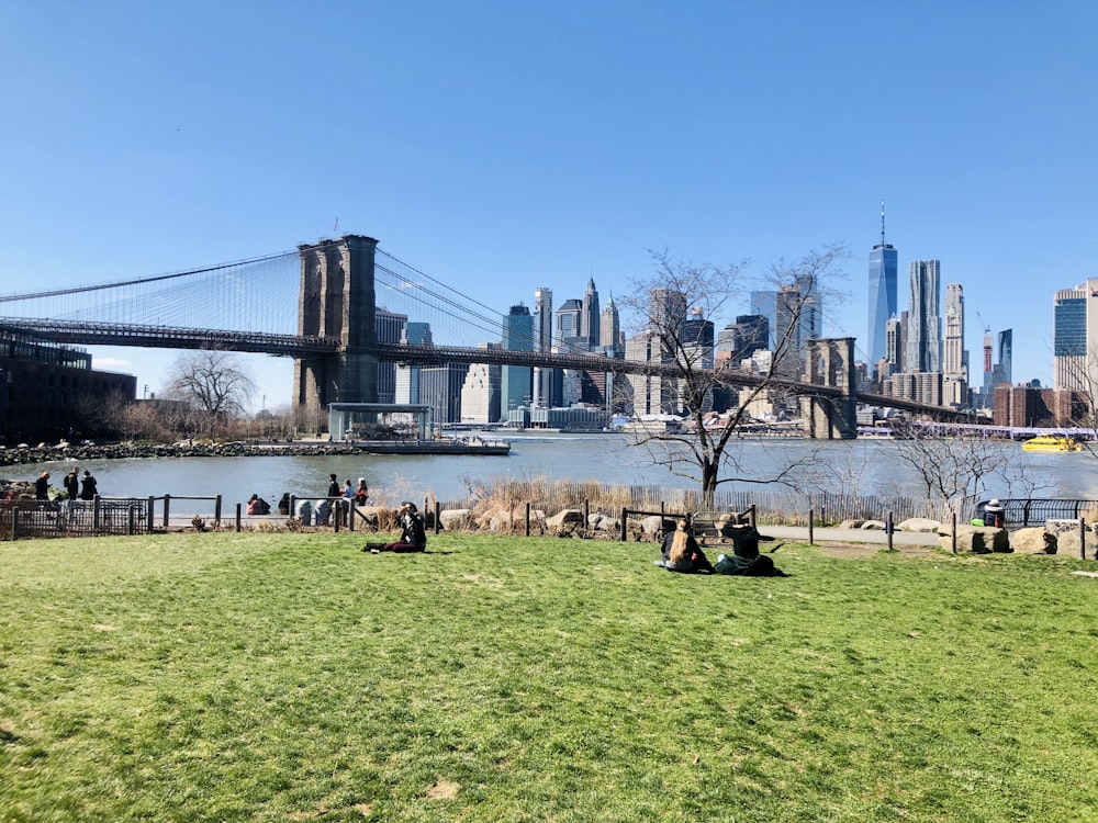 people sitting on grass field near bridge during daytime