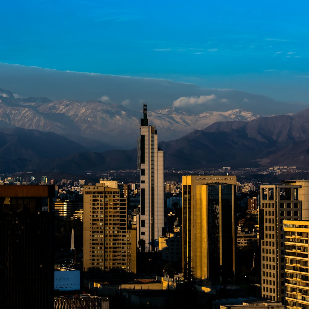 city skyline under blue sky during daytime