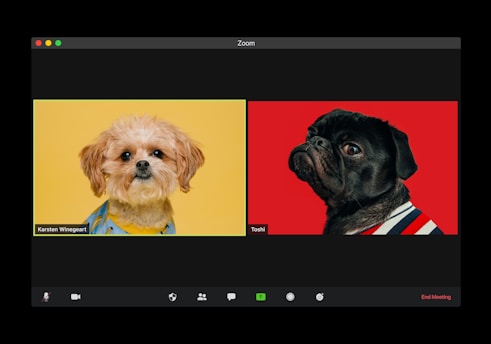 Two dogs are shown in a split-screen video call interface. The dog on the left is a fluffy brown and white dog wearing a blue outfit with a yellow background. The dog on the right is a black pug wearing a striped outfit against a red background.