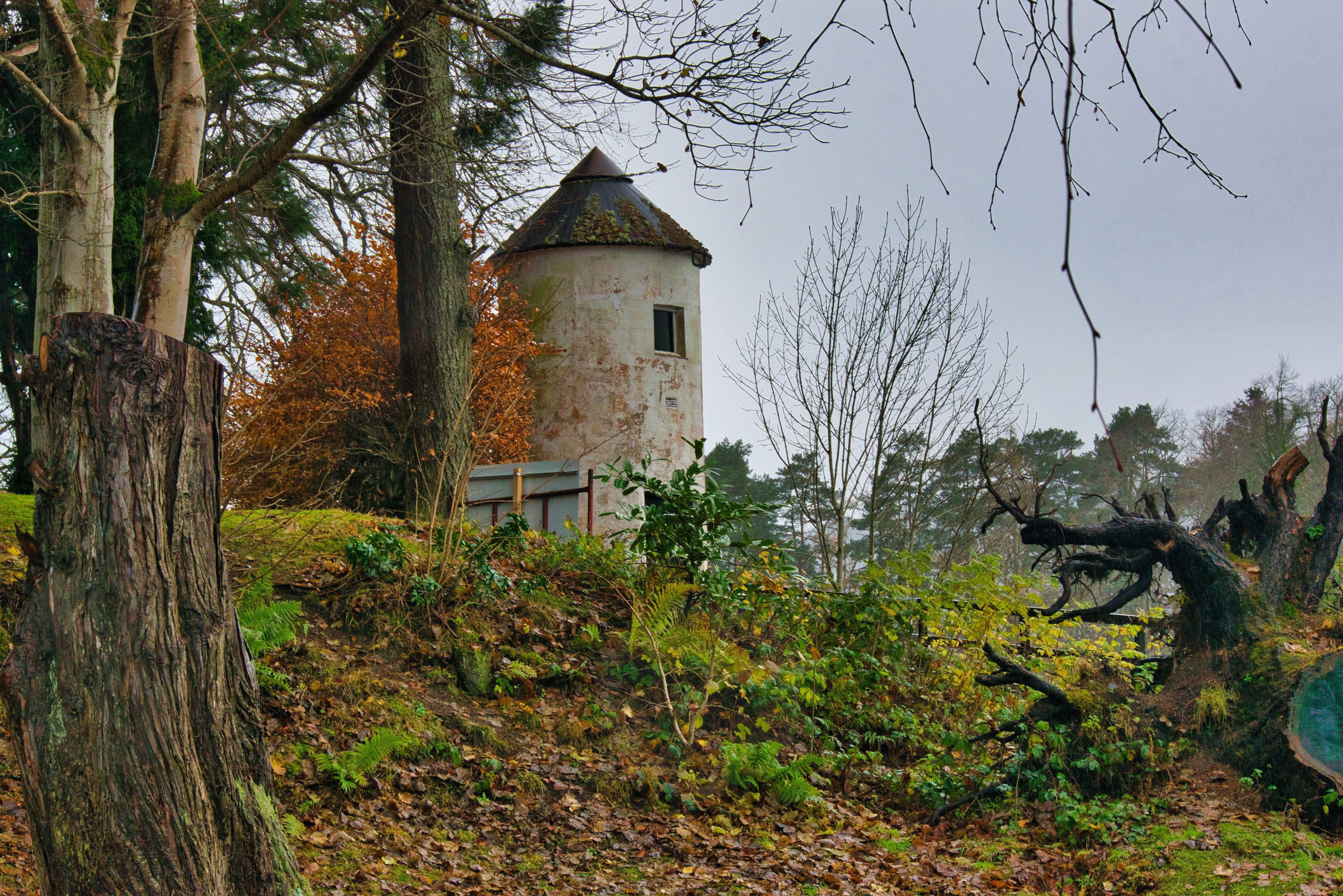 Caledonian Canal photo 3