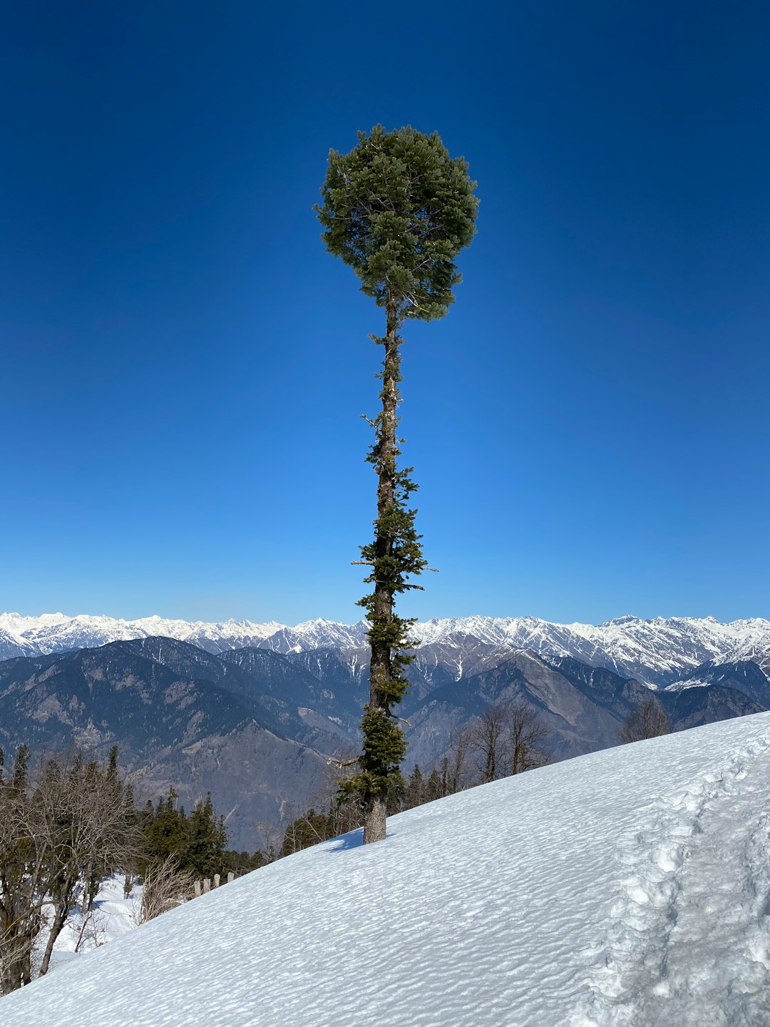 Mountain range photo spot Kedarkantha Chitkul