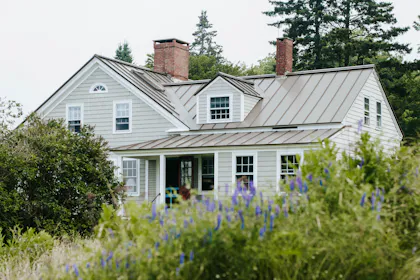 Country house framed by leafy trees
