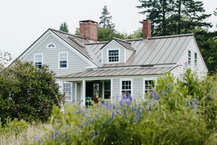white and gray wooden house surrounded by green plants during daytime