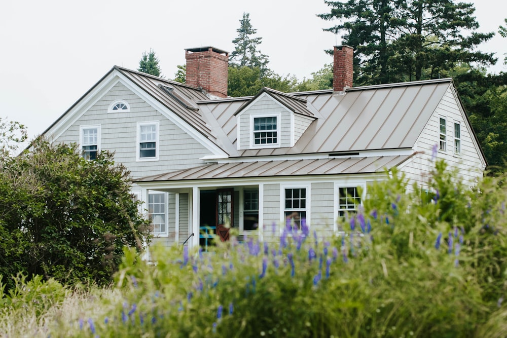 white and gray wooden house surrounded by green plants during daytime