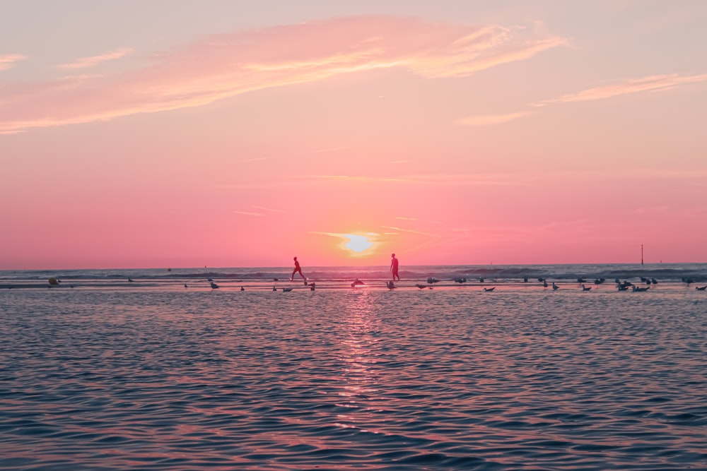 people on beach during sunset