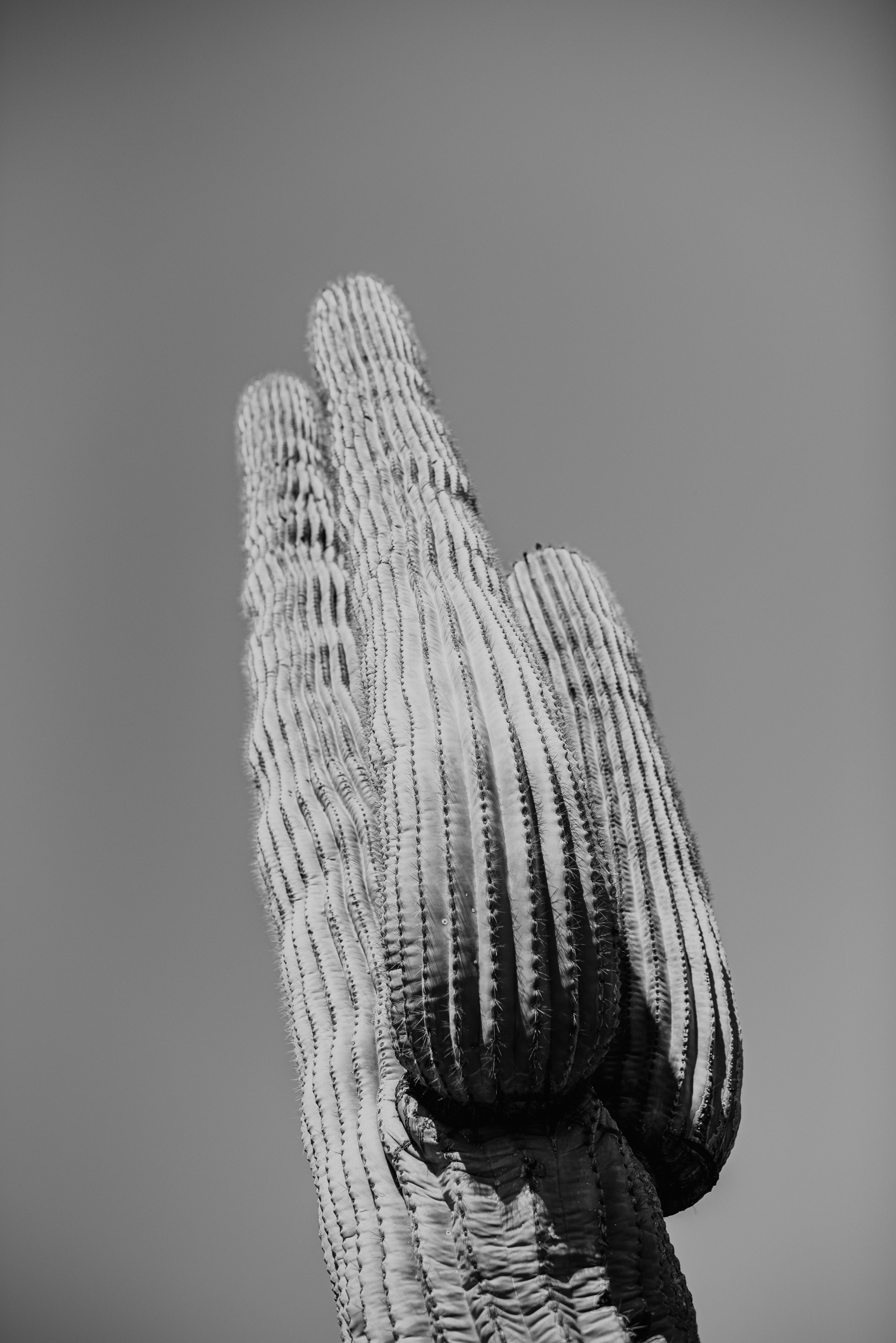 Photo by lightrisephoto