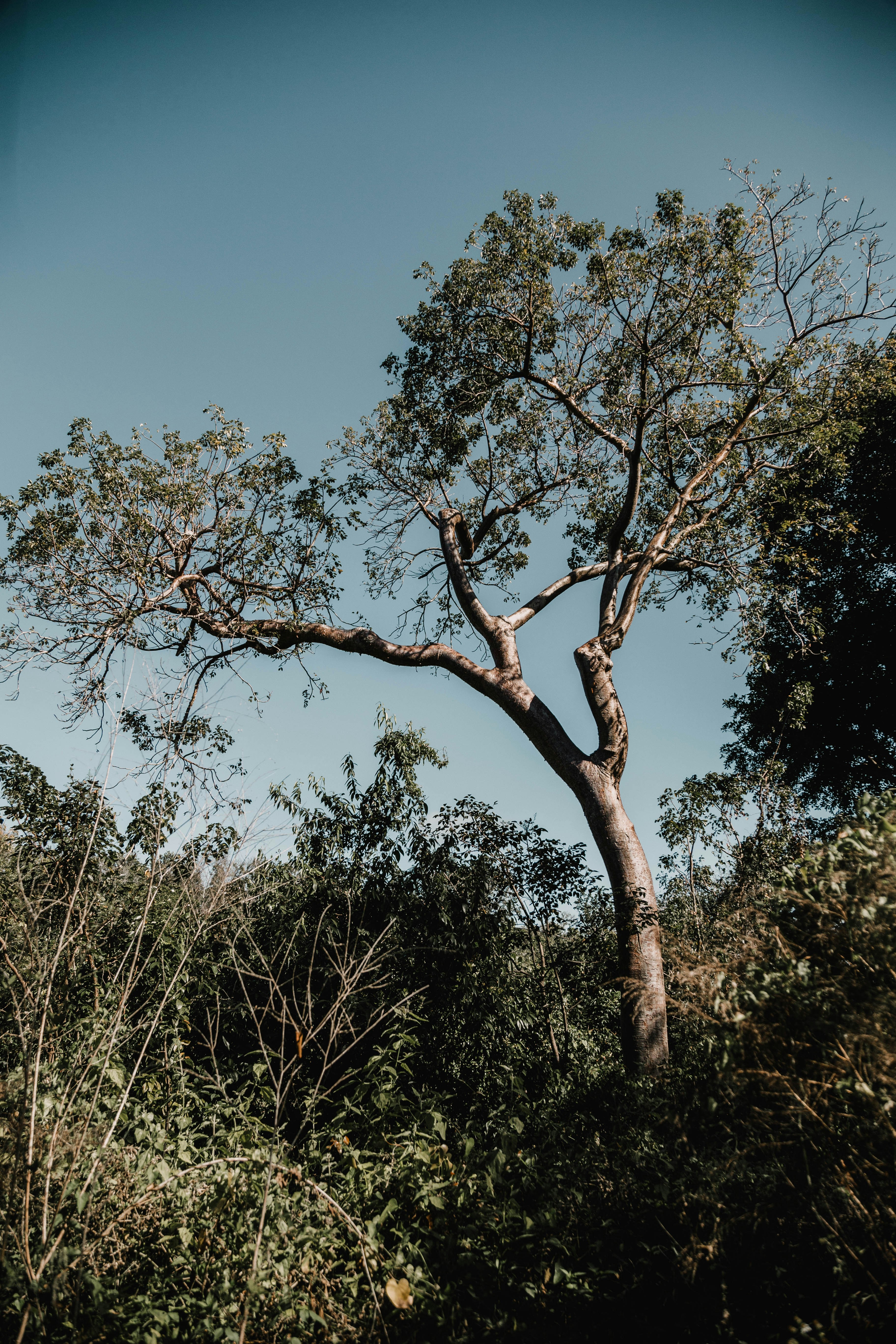 Photo by tatstakesshots