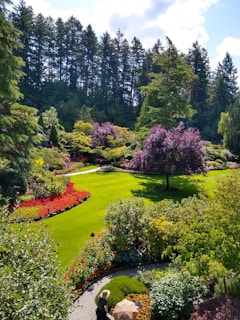green grass field with purple flowers and green trees