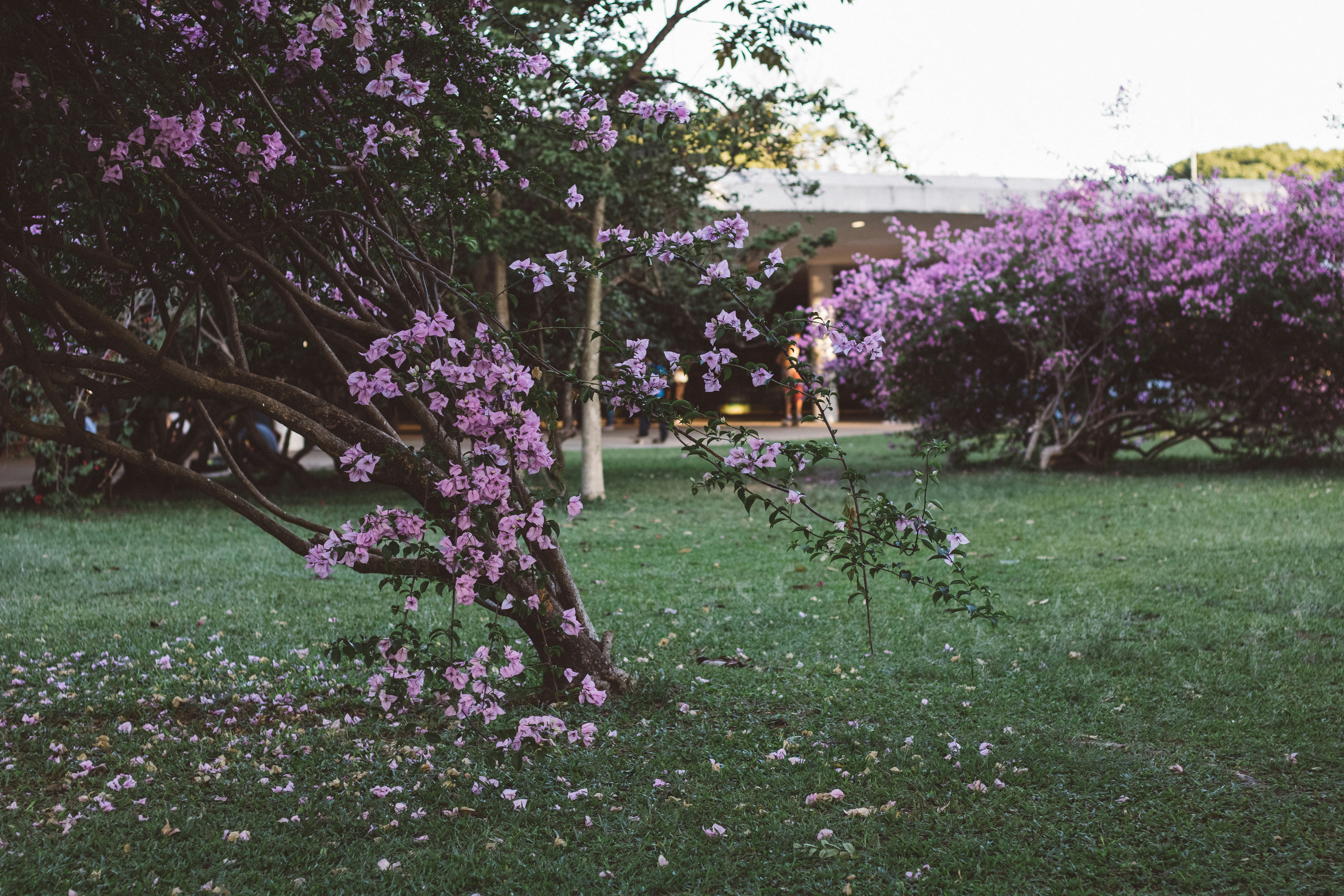 Photo by moniquecarrati