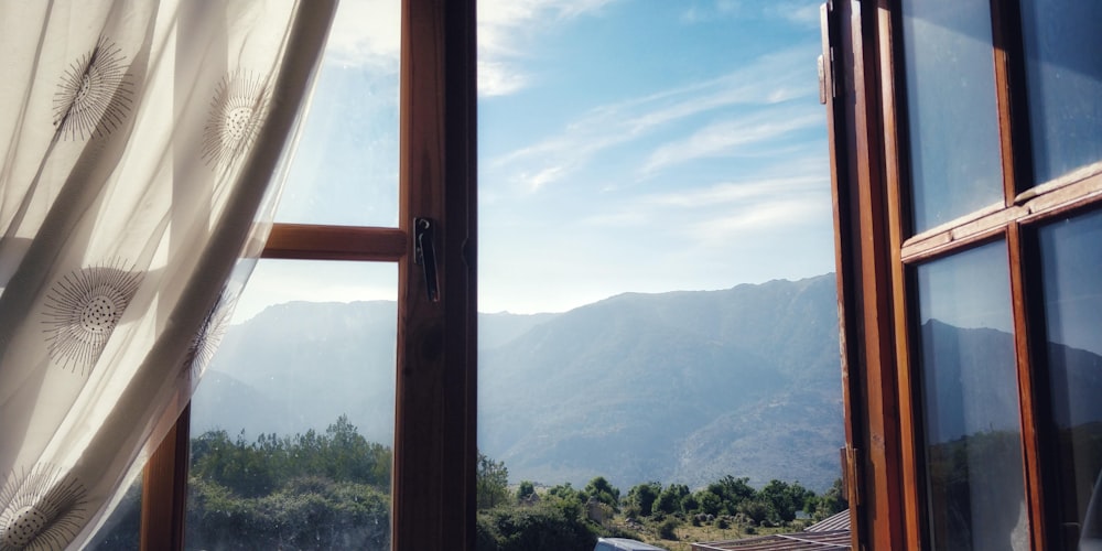 green trees and mountains during daytime