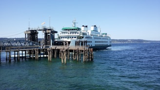 white cruise ship on sea during daytime