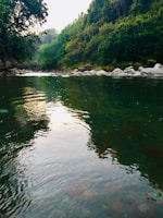 A peaceful river flowing through Gatlinburg surrounded by lush green trees.