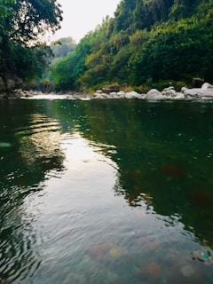 A serene moment of reflection by a tranquil river.