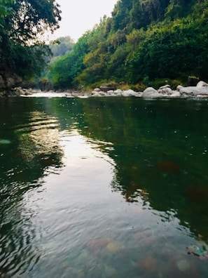 A peaceful river flowing through Gatlinburg surrounded by lush green trees.