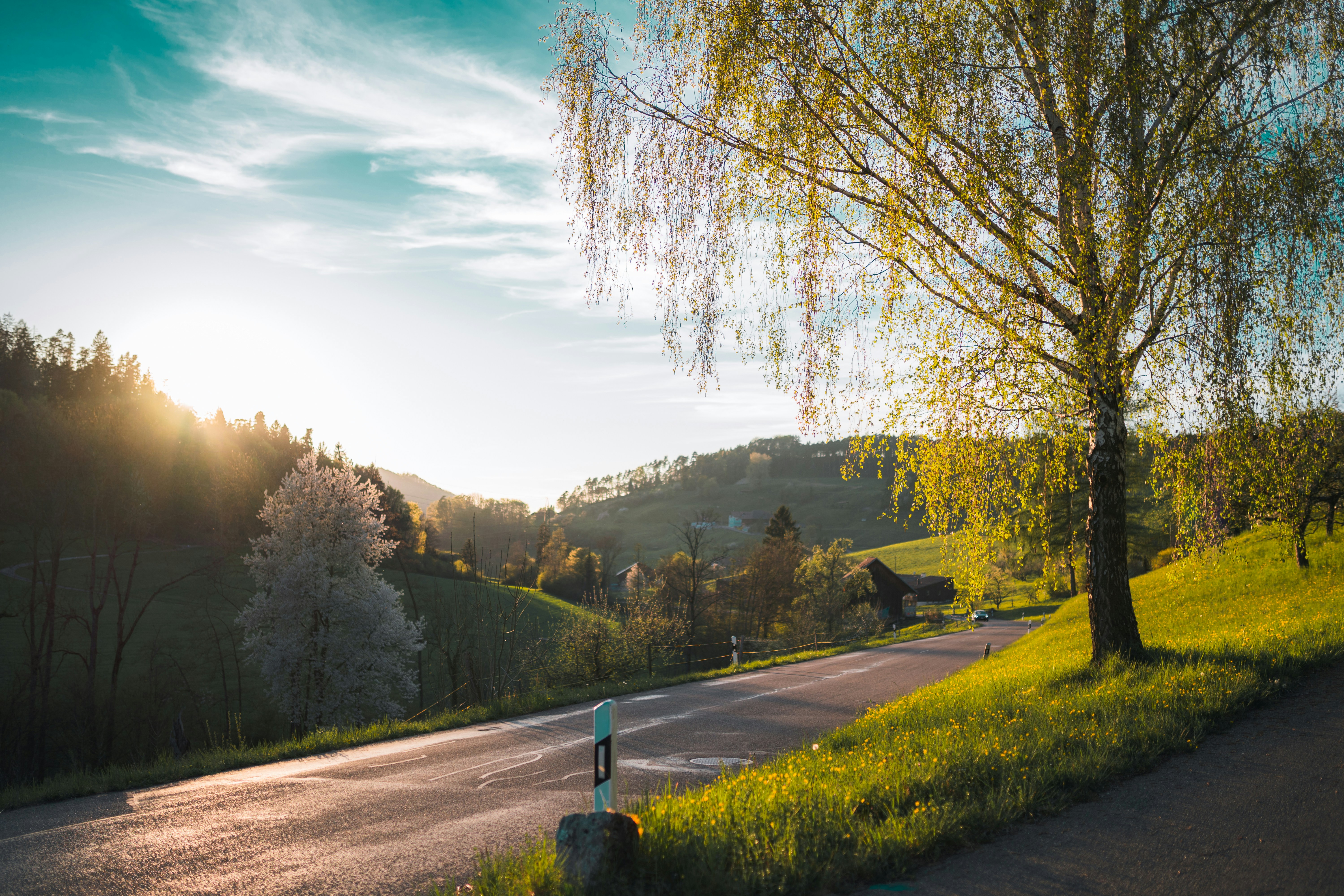 iPhone Reparatur Winterthur 