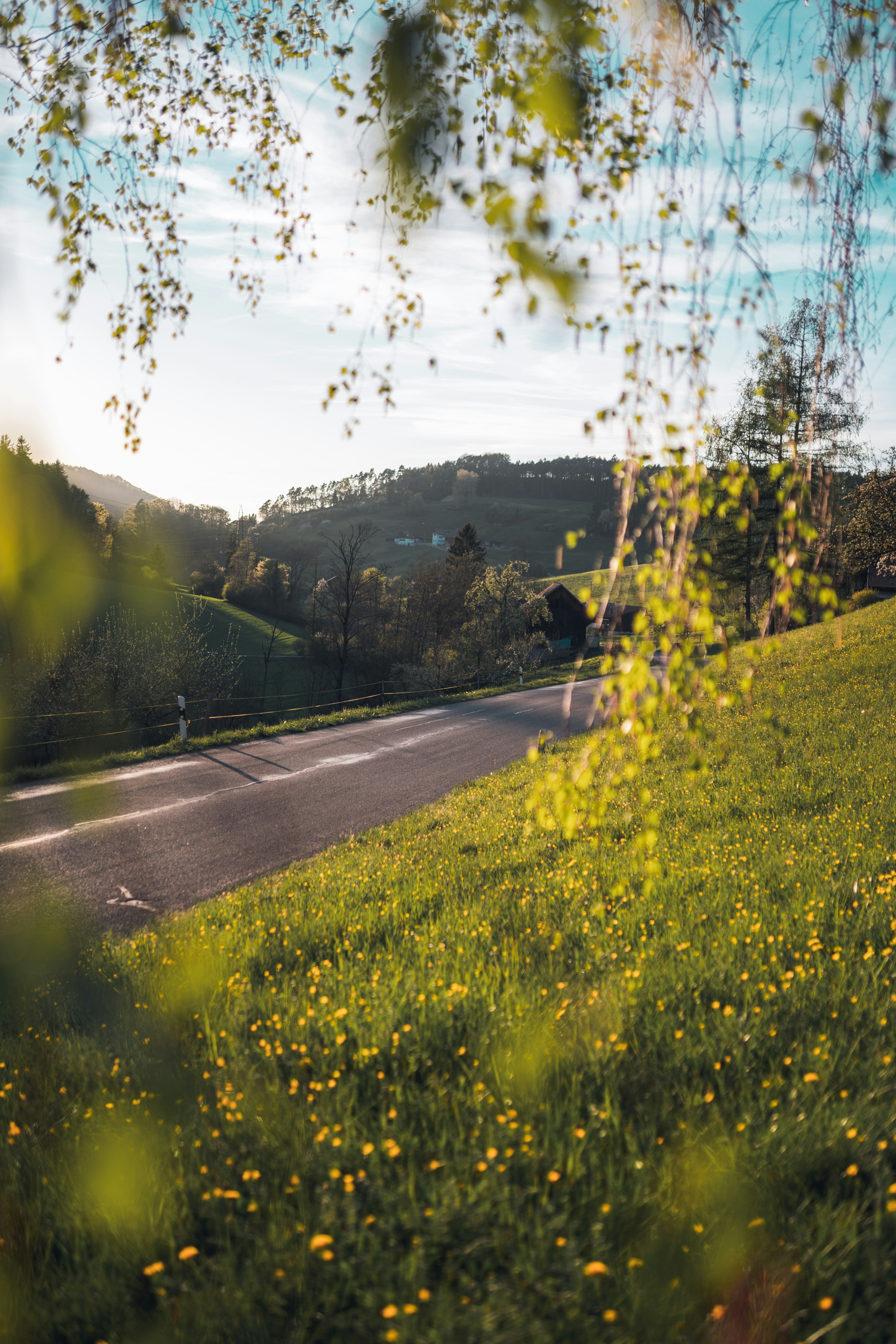 Grüner Rasenplatz in der Nähe der Straße tagsüber