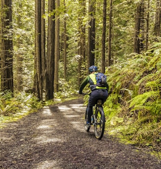 man in blue jacket riding bicycle on forest during daytime