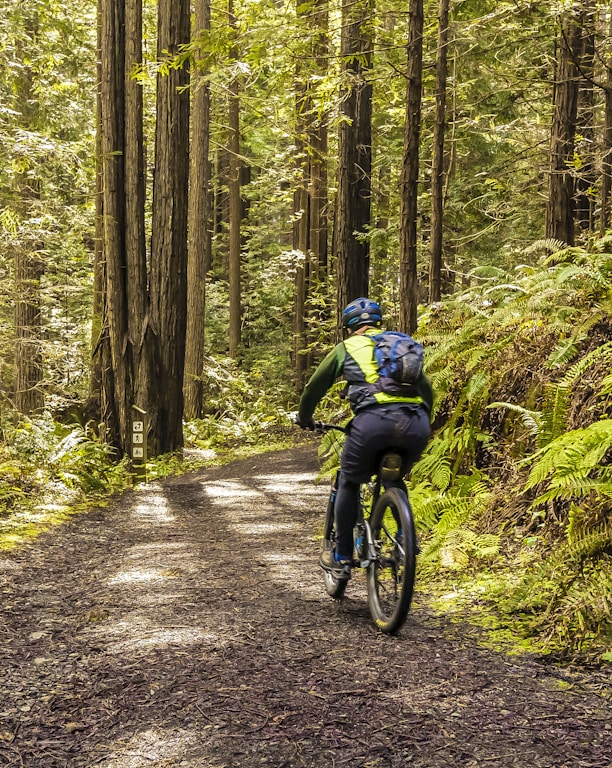 man in blue jacket riding bicycle on forest during daytime