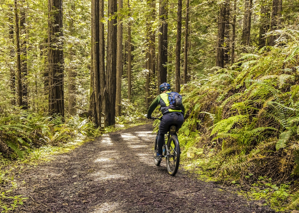 man in blue jacket riding bicycle on forest during daytime