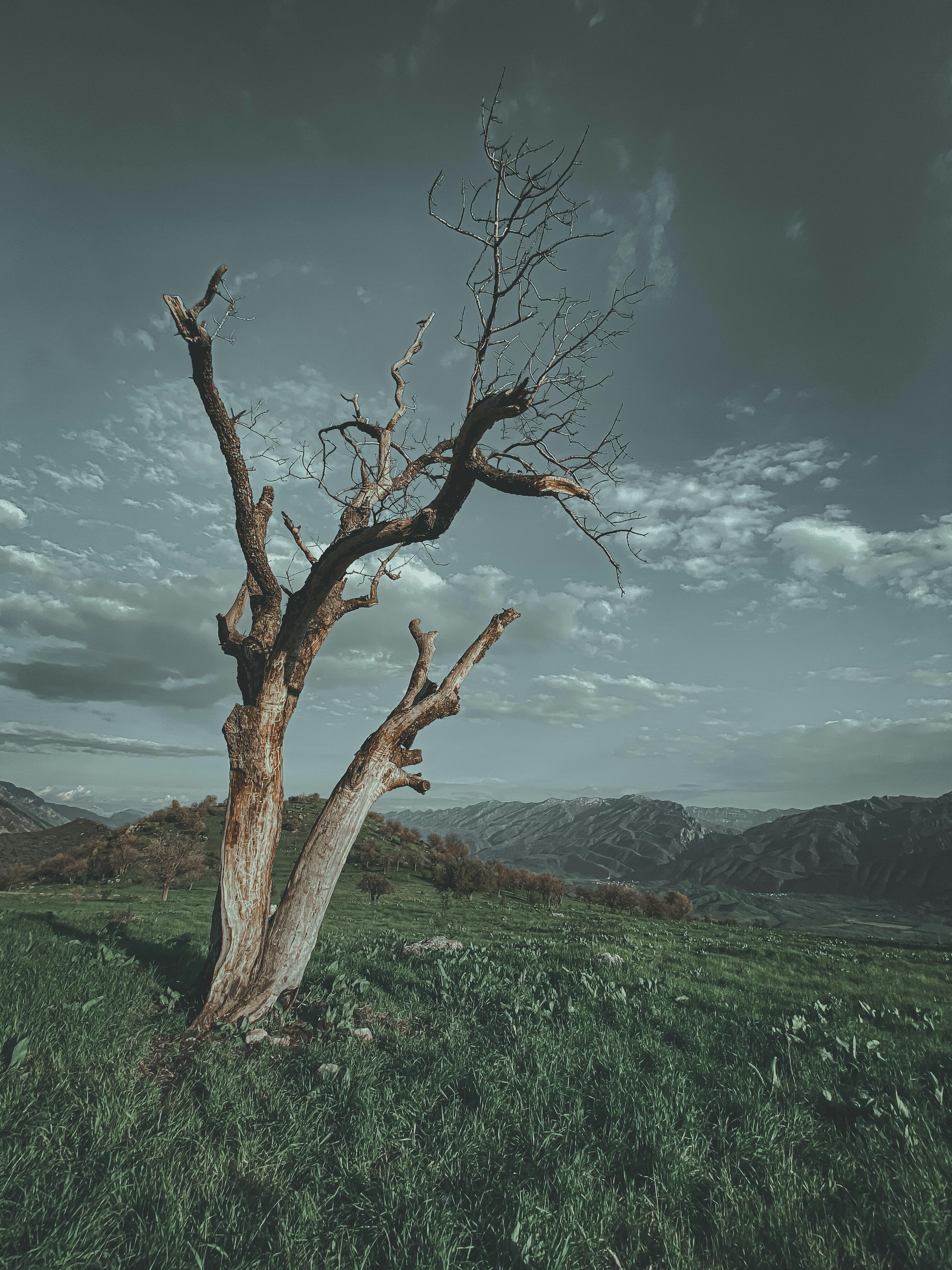 Photo by salarluqman