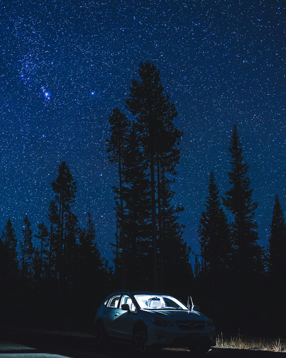 white car in the middle of forest during night time