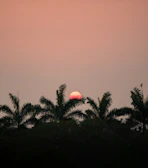 A vibrant sunrise over a tropical beach with palm trees swaying gently.