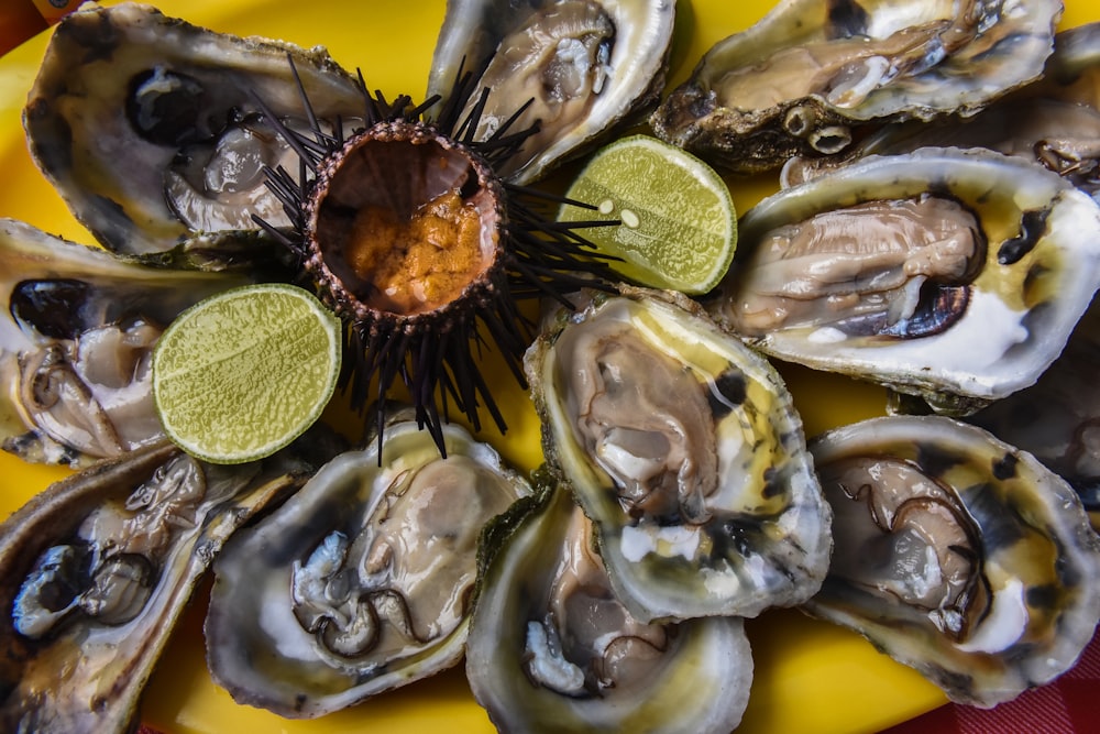 petali di fiori gialli e marroni