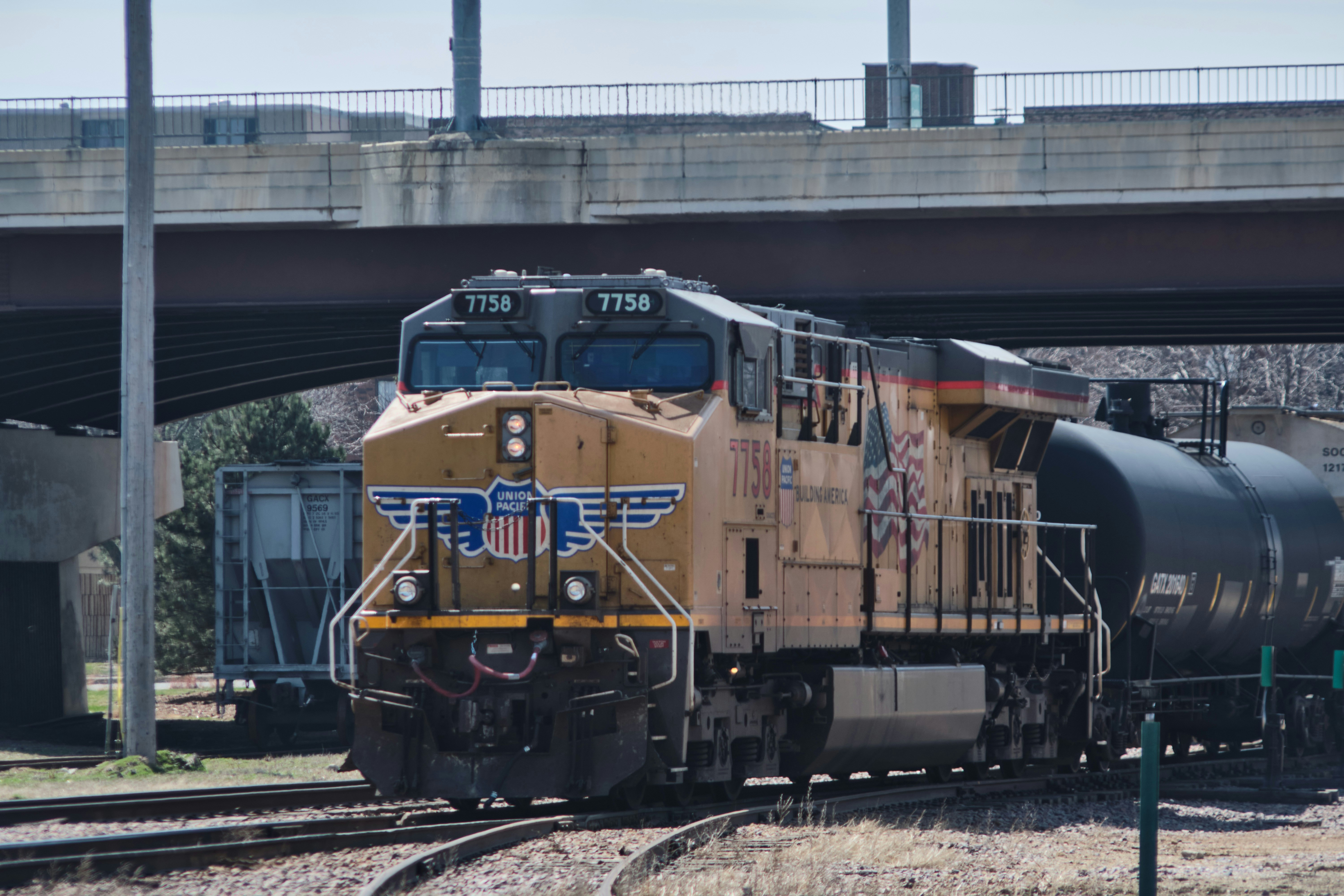 Photo by willis_stout