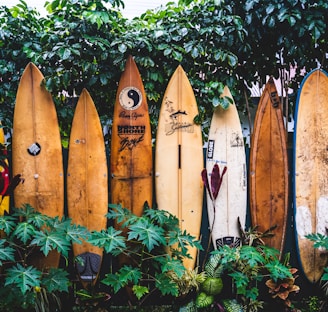 brown wooden clothes hangers on green plants