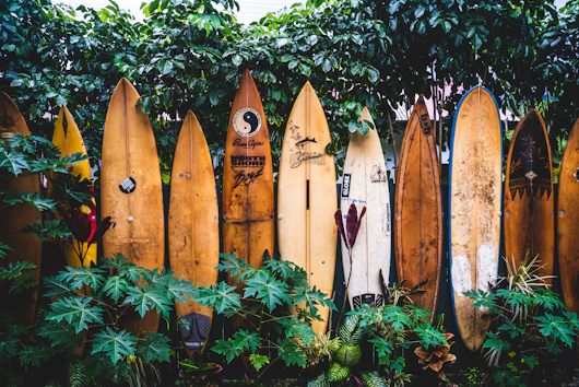brown wooden clothes hangers on green plants