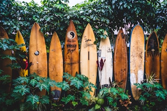 brown wooden clothes hangers on green plants