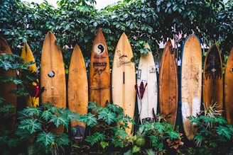 brown wooden clothes hangers on green plants