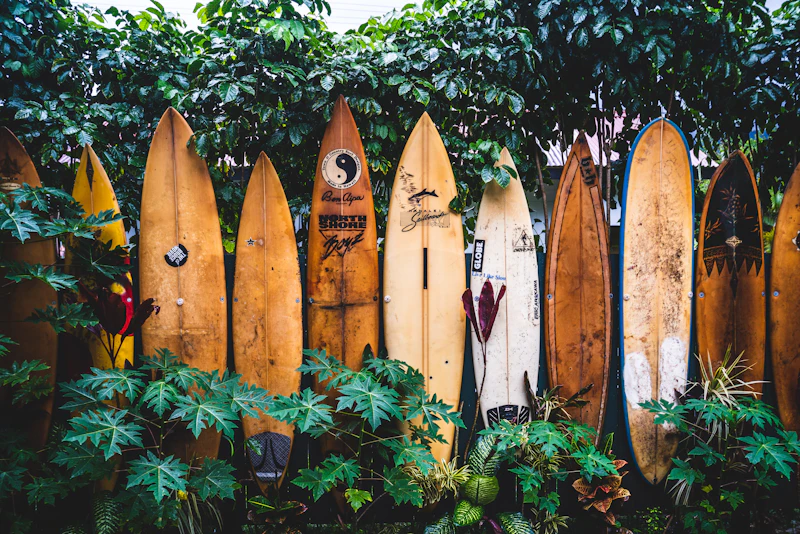 A row of weathered surfboards standing against a green hedge