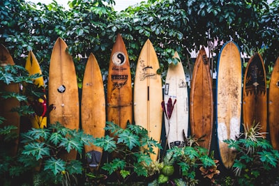 brown wooden clothes hangers on green plants surfing teams background