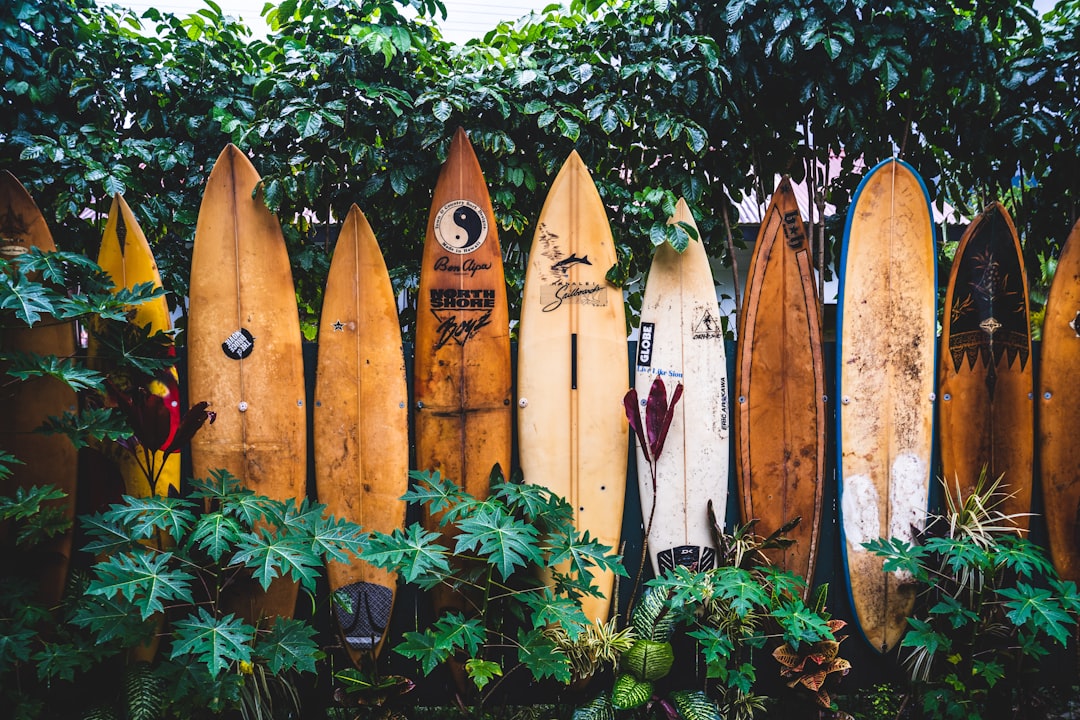 brown wooden clothes hangers on green plants, Surfboard Fence.
