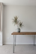 A minimalist interior features a wooden table with metal hairpin legs placed against a plain light-colored wall. A patterned ceramic pot sits on the table, containing a tall, spiky plant. The floor is carpeted, and a curtain is partially visible on the left side.