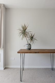 A minimalist interior features a wooden table with metal hairpin legs placed against a plain light-colored wall. A patterned ceramic pot sits on the table, containing a tall, spiky plant. The floor is carpeted, and a curtain is partially visible on the left side.