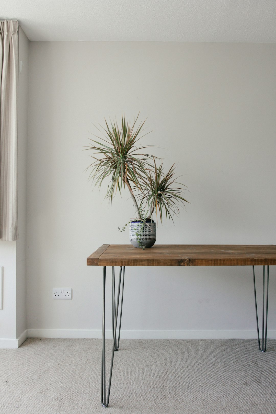 green plant on blue ceramic pot on brown wooden table