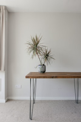 A minimalist interior features a wooden table with metal hairpin legs placed against a plain light-colored wall. A patterned ceramic pot sits on the table, containing a tall, spiky plant. The floor is carpeted, and a curtain is partially visible on the left side.