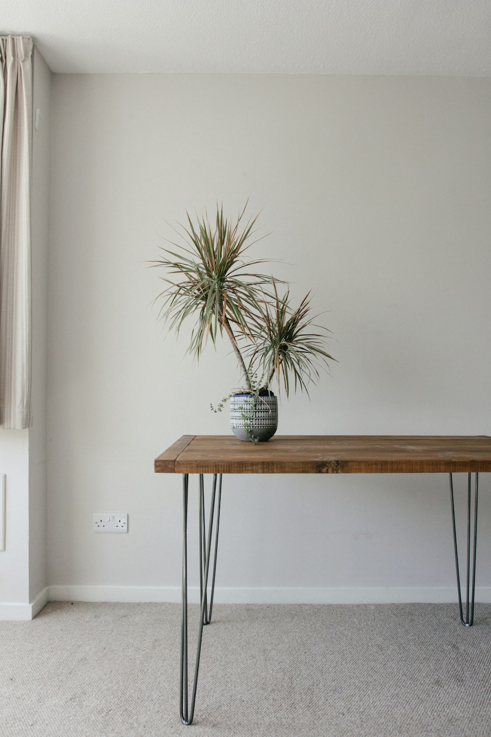planta verde no vaso de cerâmica azul na mesa de madeira marrom