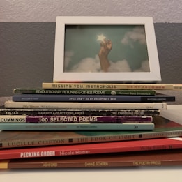 A stack of poetry books sits on a surface, with titles like 'Missing You, Metropolis' and 'Revolutionary Petunias & Other Poems.' On top of the stack is a framed photograph depicting a hand reaching up and holding a star against a cloudy sky.
