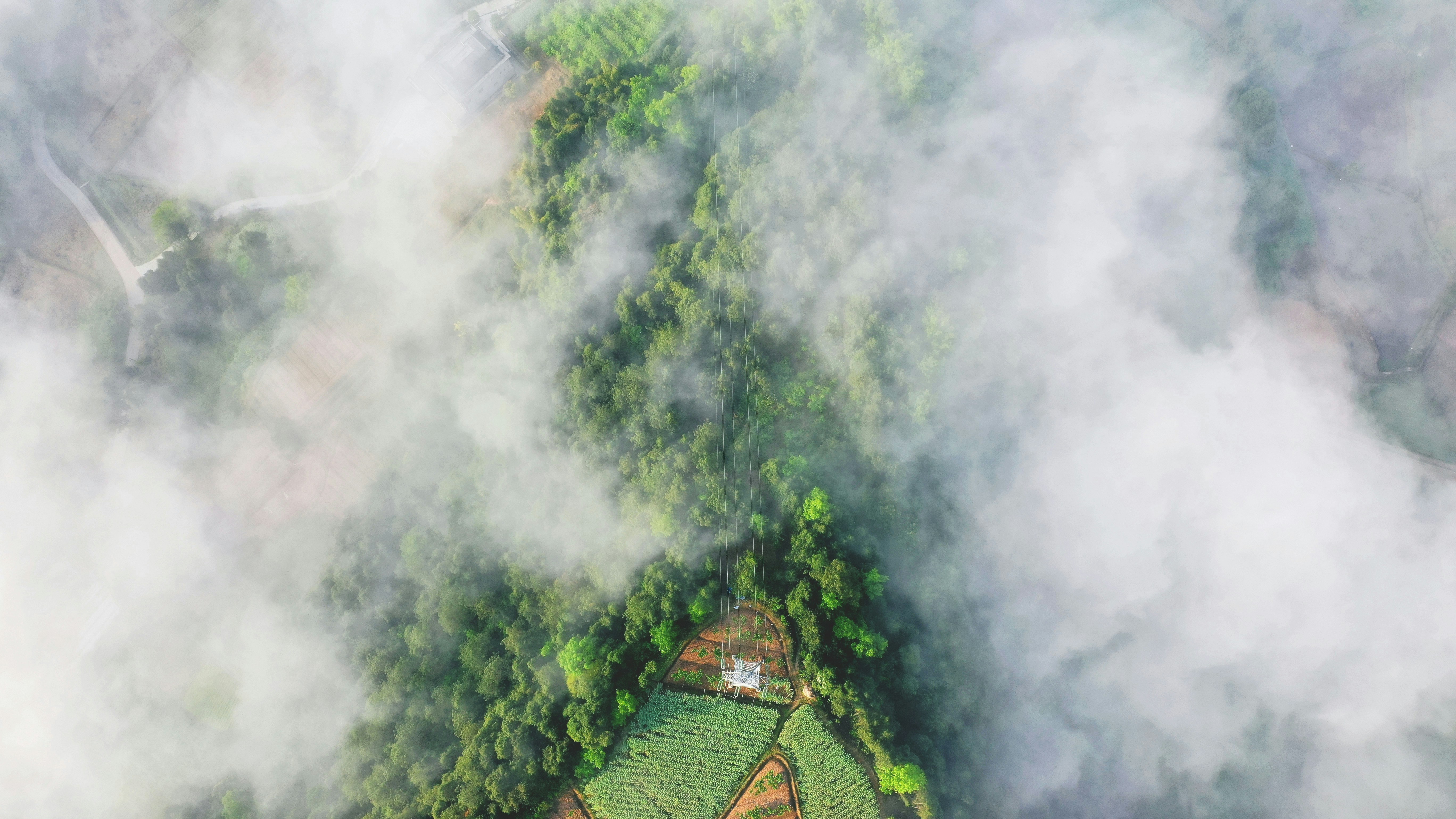 Photo by xuanming